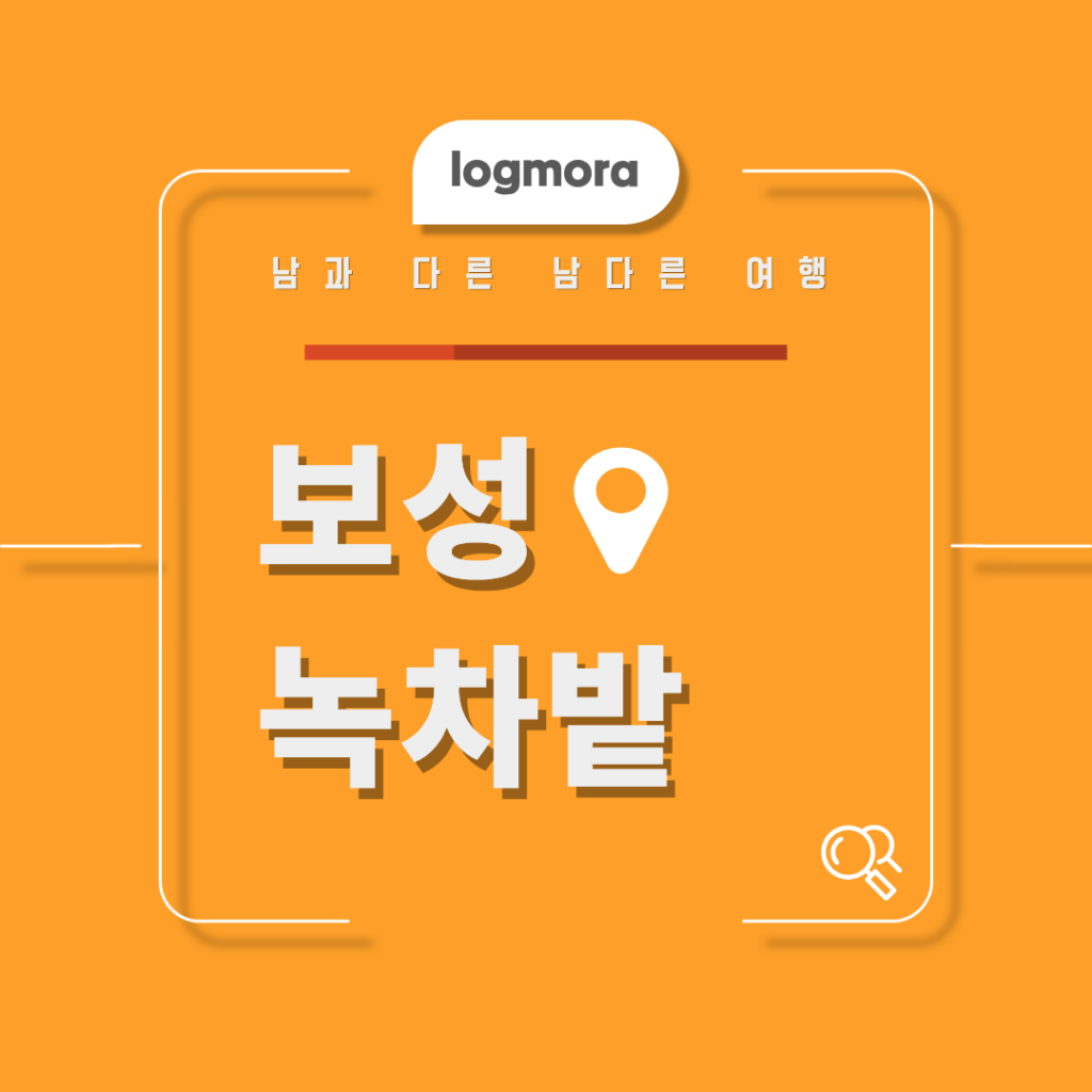 보성 녹차밭