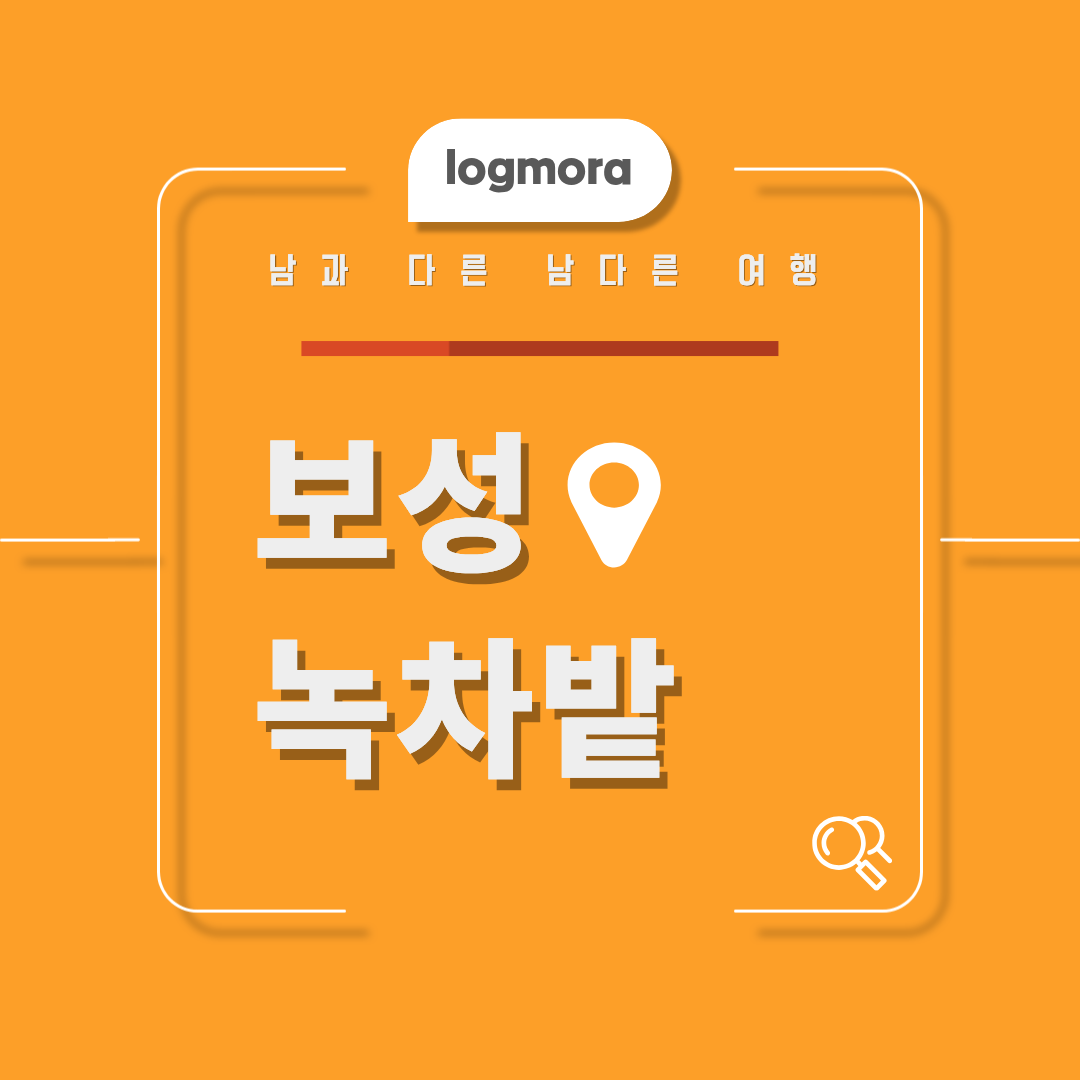 보성 녹차밭